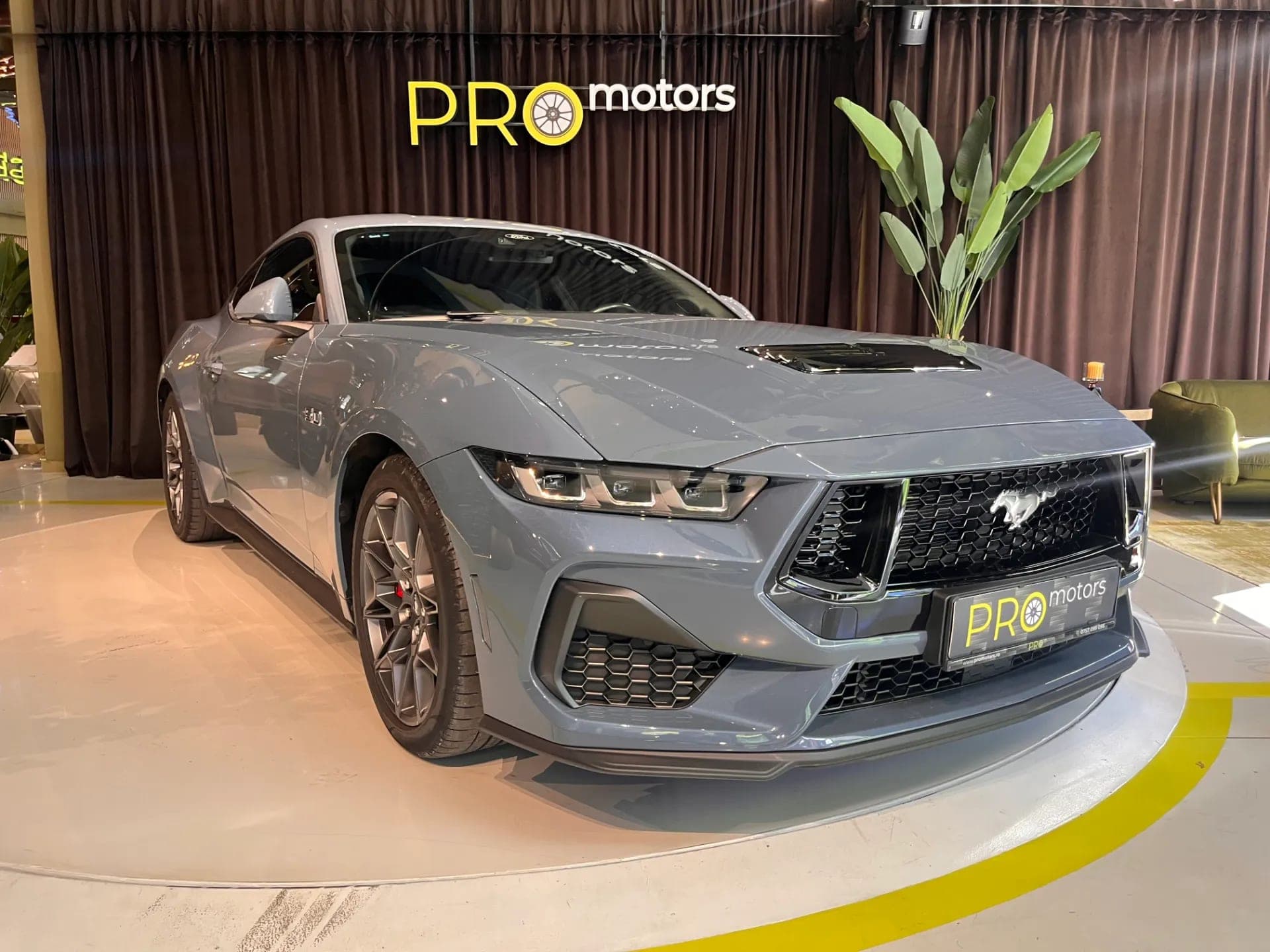 Mustang V8 5.0 